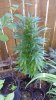 20160701_103923.jpg