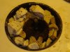DSC04926.jpg