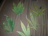 20160713_071841.jpg