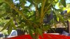 20160714_115432.jpg