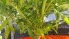 20160714_115517.jpg