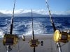 big-game-fishing-trolling2.jpg