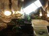 20160716_051612.jpg