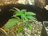20160716_051644.jpg