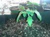 20160716_052030.jpg