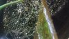 20160719_012755.jpg 20160719_012755.jpg