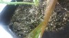 20160719_014441.jpg 20160719_014441.jpg