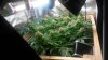 20160719_012835.jpg