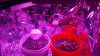 20160719_144427.jpg 20160719_144427.jpg