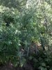 2016-07-14_18-33-44_984.jpg