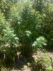 2016-07-18_13-30-28_945.jpg