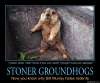 Quips_StonerGroundhog.png