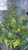 WP_20160720_21_56_43_Pro.jpg