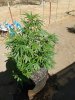20160721_095938.jpg