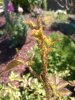 WP_20160721_012.jpg