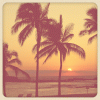 image.gif