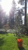 20160531_172530.jpg