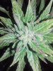 20160724_012841.jpg