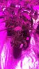 WP_20160723_11_07_05_Pro.jpg