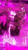 WP_20160723_11_06_53_Pro.jpg