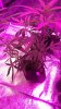 WP_20160723_11_07_19_Pro.jpg