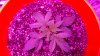 20160724_114901.jpg