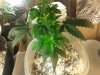20160724_150713.jpg
