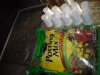 BABY PLANTS 019.JPG