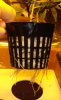 DSC04931.jpg