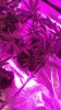 WP_20160723_11_07_30_Pro.jpg
