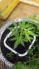 20160726_094457.jpg