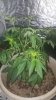 20160726_175601.jpg