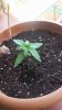 20160727_122150.jpg 20160727_122150.jpg