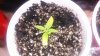 20160727_173000.jpg 20160727_173000.jpg