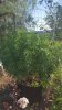 20160727_183907.jpg