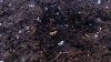 20160729_153654.jpg 20160729_153654.jpg