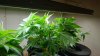 20160729_174400.jpg