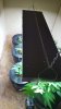 20160729_174411.jpg
