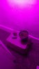 IMG_20160709_113227603.jpg