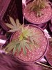 20160730_175047.jpg