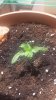 20160731_135433.jpg