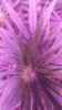 20160801_145836.jpg