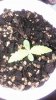 20160802_102958.jpg