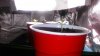 20160802_103045.jpg