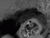 giphy (82).gif