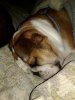 20160803_035540.jpg