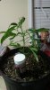 20160725_054324.jpg