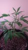 20160728_055950.jpg