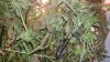 20160803_114445.jpg