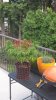 20160805_171958.jpg